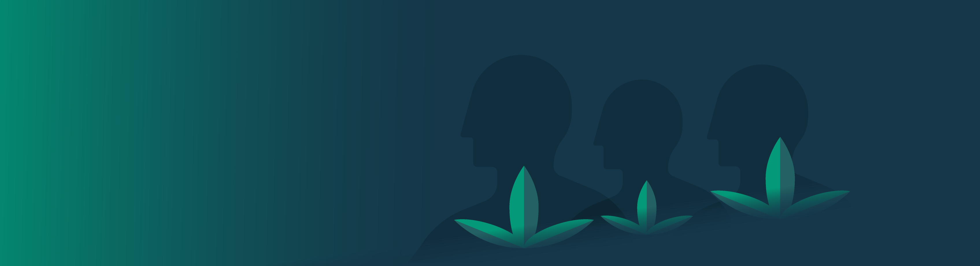 ჩვენი მიდგომა - ზედა