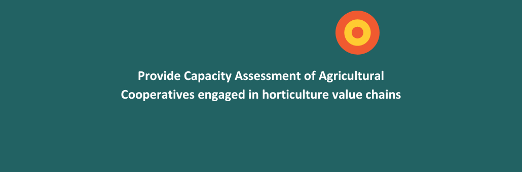 Provide Capacity Assessment of Agricultural Cooperatives engaged in horticulture value chains