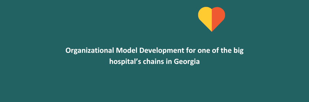 Organizational Model Development for one of the big hospital’s chains in Georgia